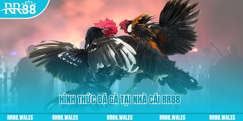 bk8 lol casino là gì
