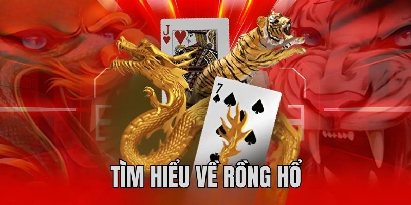 777 jili sòng bạc Sòng bạc